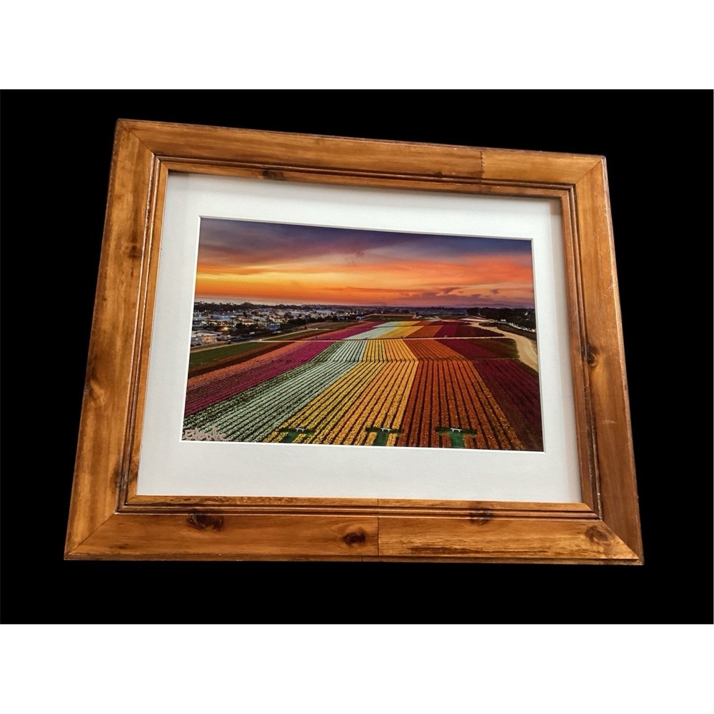 Netherlands Tulip Field Photography Signed &Numbered Framed Evgeny Yorobe 17x14